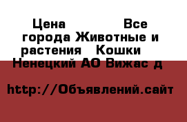 Zolton › Цена ­ 30 000 - Все города Животные и растения » Кошки   . Ненецкий АО,Вижас д.